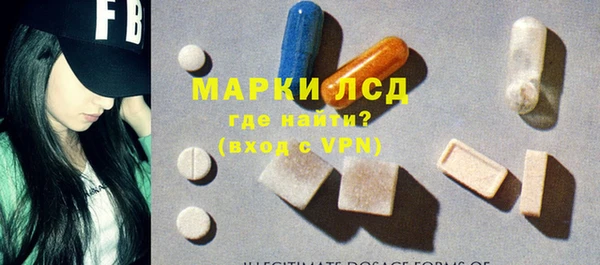 индика Новокубанск