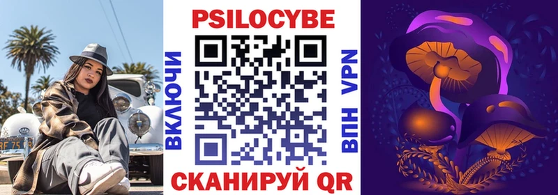 blacksprut ссылка  цены   Новая Ладога  Псилоцибиновые грибы прущие грибы 