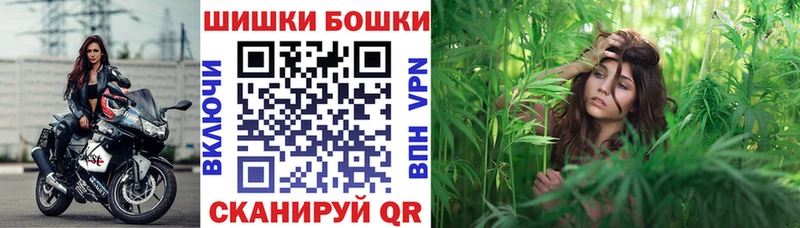 Шишки марихуана White Widow цена hydra как войти Новая Ладога